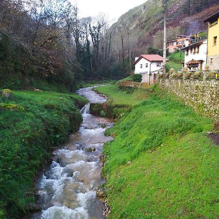 Villa El Rinconin De Degu San Juan de Parres Esterno foto