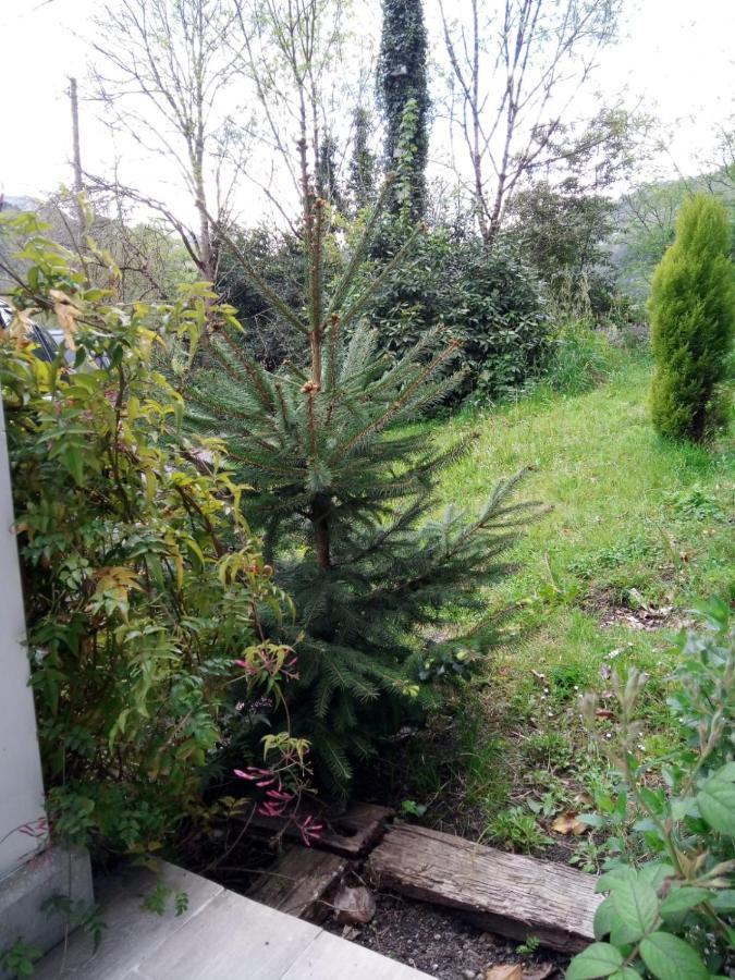 Villa El Rinconin De Degu San Juan de Parres Esterno foto